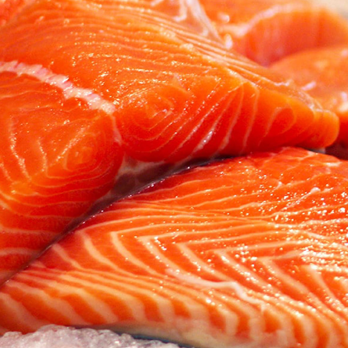 Salmon